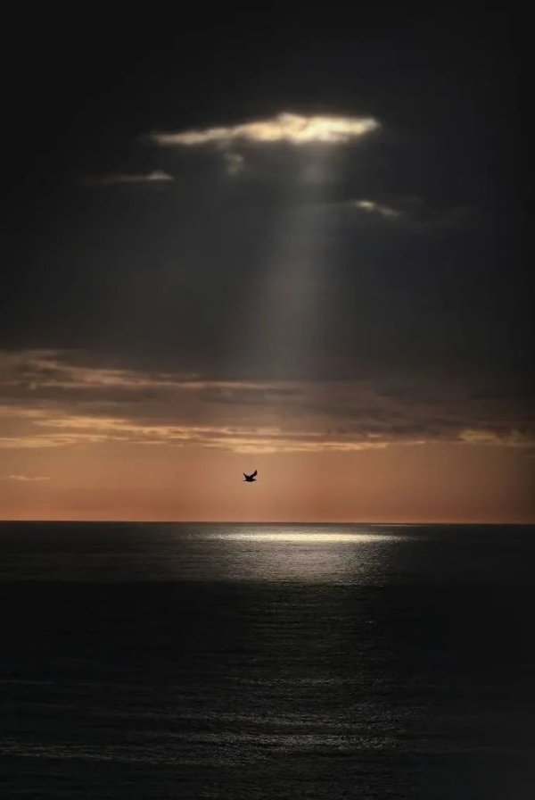 云天华成 风象星座的爱没有中心